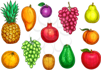 Fruits icons apple, apricot or pear and peach, tropical avocado or mango and exotic pineapple, garnet or pomegranate and kiwi, orange or tangerine citrus. Vector isolated farm and garden fruit harvest
