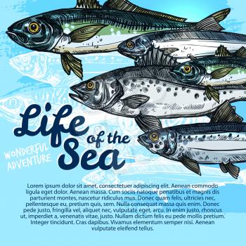 Sea life fish vector poster template of trout, sprat or mackerel and crucian, flounder, salmon or tuna and marlin, ocean pike, herring or navaga for oceanarium adventure design