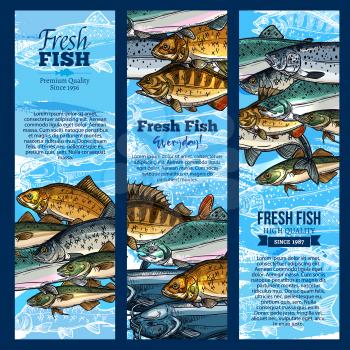 Fresh fish banners set for sea or ocean food and seafood market or shop. Vector pike, salmon or tuna and marlin, fisherman catch of herring or trout and flounder, mackerel or crucian and sprat
