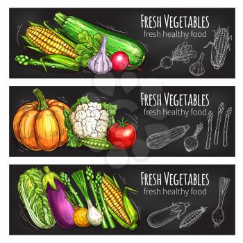 Vegetable and bean fresh food chalkboard banner set. Veggies chalk sketch with tomato, onion, garlic, cabbage, radish, eggplant, corn, pea, pumpkin, asparagus, cauliflower for vegetarian food design
