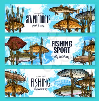 Fish banners sketch design templates fro fishing store of fisherman seafood product market. Vector design of marlin, trout or flounder and salmon, eel or tuna and mackerel with anchovy fishes