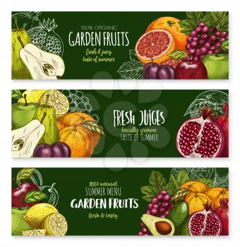 Exotic tropical fresh fruits sketch banners. Vector garden apple, plum or pear and avocado, grape or lemon citrus orange and grapefruit or pomegranate garnet and for farm market or fresh juice