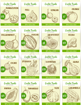 Exotic fruits price cards or farm shop or market sore posters templates. Vector sketch fruit harvest of tropical juicy mangosteen, figs or longan and orange, passion fruit or durian and grapefruit