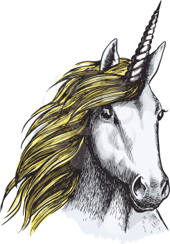 Unicorn horse head or muzzle sketch design. Vector isolated icon of magic or mystic fairy tale horse with horn and waving mane for equine sport or equestrian races and contest exhibition