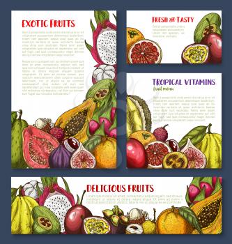 Exotic fruits sketch banner and poster template for tropical farm fruit market. Vector fresh fruits avocado, grape or lemon citrus orange and grapefruit or mangosteen and durian, pitahaya and papaya