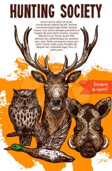 Hunting sport banner with wild animal and bird. Deer, duck, boar and owl sketches for announcement poster of hunting season opening and hunter club flyer design