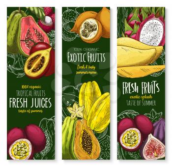 Exotic tropical fruits banners for farm market or fresh juice. Vector sketch mango, guava or durian and mangosteen, tropic papaya and juicy rambutan or dragon fruit pithaya, feijoa or lychee fruit