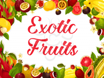 Exotic fruits of tropic fruit harvest for farm market or shop. Vector poster design of tropical juicy lychee, carambola or papaya and passion fruit maracuya or durian and grapefruit, banana and kiwi