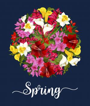 Spring flower greeting card with blooming garden plant. Daffodil, calla lily and tulip, azalea, delphinium and green leaf branch floral poster for Springtime season holiday themes design