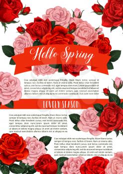 Hello Spring floral poster for springtime greeting card or season holiday wishes. Vector red roses and pink flowers bunches of blooming garden blossoms and flourish ribbons in bouquets design