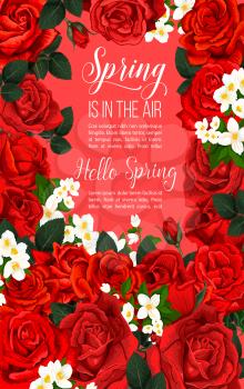 Spring is in air poster for springtime greeting card and season holiday wishes. Vector design of red roses and pink or white crocuses flowers in bunches with blooming blossoms of flourish bouquets