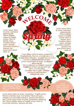 Welcome Spring poster of roses flowers bunch icon for spring time seasonal holiday greeting card wish. Vector floral bouquet of blooming red and pink roses flowers crocuses or lily blossoms
