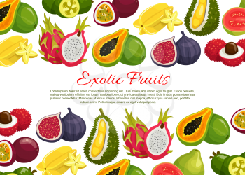Exotic fruits poster of tropical passion fruit maracuya, carambola or papaya and guava. Vector farm market harvest of durian, rambutan, dragon fruit or mangosteen and juicy tropic lychee or figs