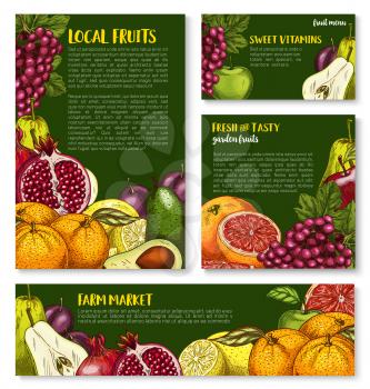 Farm fresh fruits sketch banners and posters for fruit shop. Vector garden apple, plum or pear and exotic avocado, grape or lemon and tropical citrus orange or grapefruit and pomegranate garnet