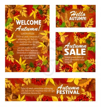 Autumn sale banner and fall festival poster template. September leaf frame on wooden background with orange and yellow foliage of maple and forest tree, acorn and rowan berry for autumn themes design