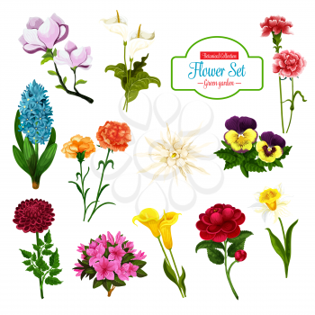Flower of spring blooming plant and tree cartoon icon set. Daffodil, calla lily and pansy, peony, hyacinth and phlox, carnation, magnolia and aster flower branch with lush petal and floral bud
