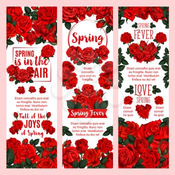 Spring season holiday floral banner set with red rose bouquet. Blooming flower of garden rose plant with red petal and green leaf, decorated by ribbon for festive card design with greeting wishes