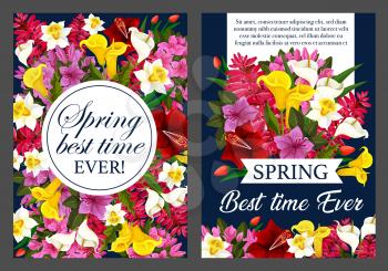 Spring flower bouquet festive banner for Springtime season holiday celebration. White, yellow and red blossom of daffodil, tulip, calla lily and azalea flower and blooming garden plant greeting card