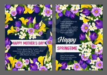 Mother Day and Spring Holiday greeting card in frame of flower and blooming plant. Yellow calla lily, violet crocus, white jasmine and green leaf, adorned by ribbon banner with greeting wishes