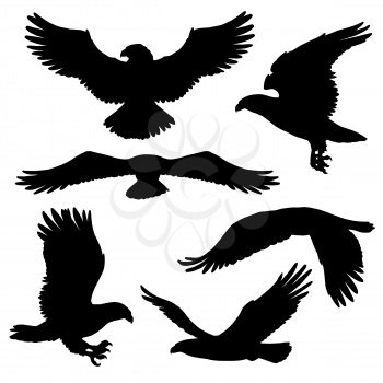 Flying eagle, falcon and hawk black silhouette bird icons. Vector bird predator in flying poses for heraldic symbols or tattoo design. Wild animal as sign of power and freedom