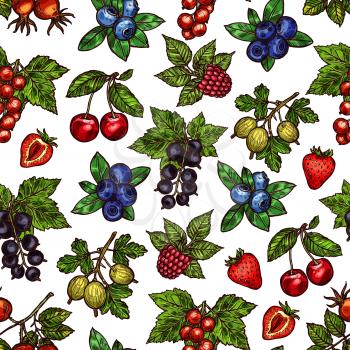 Berries on branch or stem sketches in seamless pattern. Dogrose and blackberry, red or black currant, blueberry and raspberry, cherry and strawberry, gooseberry. Natural food in endless texture vector