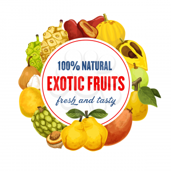 Fruit from exotic countries round icon. Red pear and santol, loquat and guava, quince and mango, longan and sugar apple, passionfruit and mangosteen, morinda. Vegetarian food shop or market vector