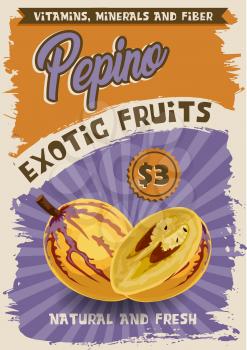 Exotic fruit retro poster with pepino for grocery store or shop and market. Tropical rare vegetarian food full of vitamin, minerals and fiber. Natural vegan product vintage leaflet with price vector
