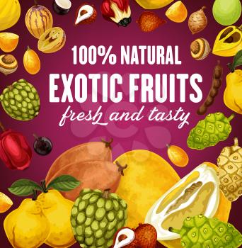 Exotic fruit poster for vegetarian tropical food. Mango and churchchel, melon and pepino, orange and plum, guava and melon. Longan and magosteen, sugar apple and santol, morinda and champoo vector