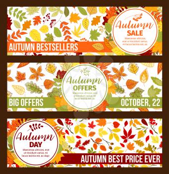 Fall sale or Autumn discount offer banners for autumn seasonal shopping promo. Vector bestseller sale design of maple or chestnut and poplar leaf, oak or rowan and autumn birch leaves background