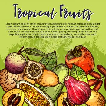 Exotic fruits sketch poster for fruit farm market. Vector design of tropical pitaya dragon fruit or passion fruit and papaya, fresh durian, feijoa or mangosteen and guava or tamarillo and grenadilla