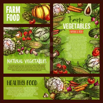 Vegetables and fresh organic farm food veggie sketch posters and banners for food market. Vector vegetarian pumpkin, cauliflower or broccoli cabbage and avocado, cucumber or tomato and vegan carrot