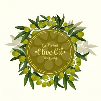 Eco product olives poster for olive oil organic natural product. Vector design of green olive fruits and leaves for best quality olive oil extra virgin product or Italian or Spanish cuisine