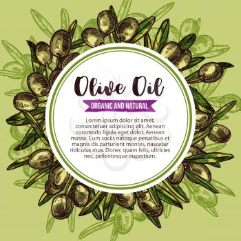 Olive oil round label with green olive wreath sketch. Branch of olive tree frame with ripe fruit, green leaf and copy space in center for extra virgin oil and mediterranean cuisine ingredient design