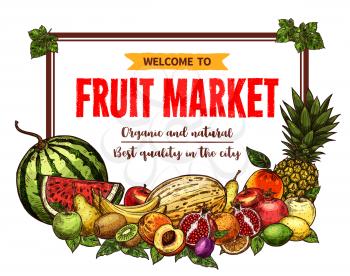 Fruit market welcoming banner with frame of fresh farm product. Apple, orange and banana, pineapple, pear and mango, peach, lemon and watermelon, kiwi, melon and pomegranate fruit sketch poster design