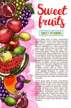 Fruit and berry sketch banner with fresh tropical and farm product. Apple, lemon and grape, mango, watermelon and plum, pomegranate and lime fruit for natural juice and fruity drink menu template