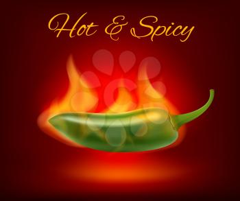 Jalapeno chili pepper in fire flame poster. Vector Mexican spicy cuisine fast food or restaurant bar menu of green hot jalapeno pepper on red background