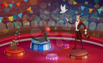 Circus arena, magician conjurer juggler or animal handler with dove on stick, trained monkey and seal juggling or balancing balls. Vector circus performance arena with seats