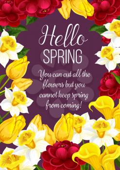 Hello Spring festive banner with Springtime season flower. Floral greeting card for Spring holiday themes design with daffodil, rose and tulip, calla lily, flower bud and green leaf frame