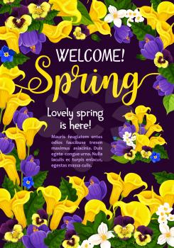 Spring Season Holiday welcome banner design with garden flower blossom frame. Blooming plant floral wreath of calla lily, crocus, pansy and jasmine flower, green leaf or branch festive poster template