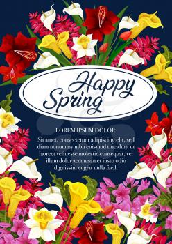 Happy Spring floral poster of daffodils, tulips or garden blooming flowers. Vector springtime greeting card design of spring flowers bunches of blooming lilac or orchid blossoms and callas