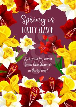 Springtime floral greeting card with Spring is lovely time quote. Vector design of flourish hibiscus roses, callas blossoms and tulips blooming flowers bouquet for seasonal springtime wishes