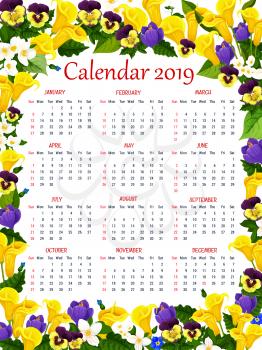 Calendar template in spring flower frame. 2019 year calendar or floral planner, decorated with blooming crocus, jasmine, calla lily and garden pansy flower, floral bud and green leaf
