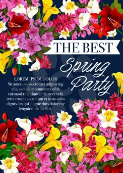 Spring time party invitation poster for seasonal springtime holiday event. Vector design of floral bunches of spring daffodil or narcissus, lilac or hibiscus, callas and tulips blooming flowers