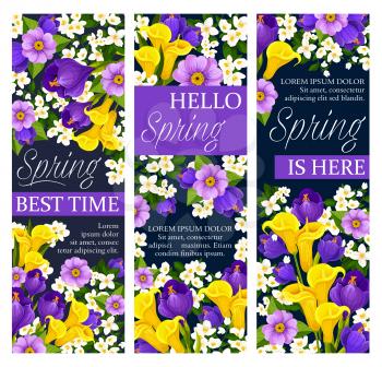 Happy Spring best time wishes banners of daffodils, tulips and crocuses bouquet. Vector floral design and springtime quotes of blooming snowdrops, crocuses or violets and hibiscus flowers in bloom