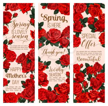 Spring flower greeting banner for Mother Day and Springtime Season holiday template. Red blossom of garden rose plant and green leaf for festive floral card design with greeting wishes