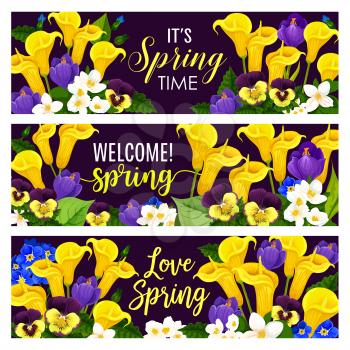 Spring Season Holiday floral banner with blooming flower bouquet. Crocus, calla lily, jasmine and pansy flower, floral bud, green leaf and branch for Springtime Holiday greeting card design