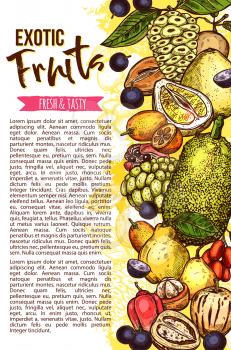 Exotic fruit banner with fresh tropical berry sketch border. Ripe pear, tamarillo and mangosteen, cherimoya, longan and jackfruit, ackee, miracle fruit and jaboticaba for natural fruit juice design
