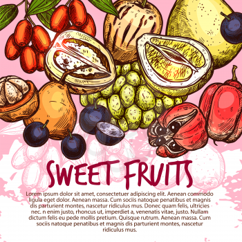 Exotic fruit and sweet tropical berry poster for menu cover template. Fresh quince, pomelo and santol, pepino, jujube, ackee and jabuticaba fruit sketch banner for natural juice, fruity dessert design