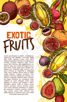 Exotic fruits sketch poster of papaya, grapefruit or tropical passion fruit maracuya or juicy banana or kiwi. Vector sweet juicy durian and orange or feijoa harvest for fruit shop or farm market