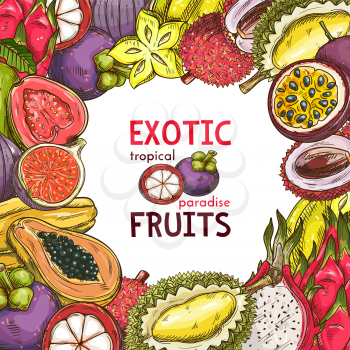Exotic fruits sketch poster of tropical durian, pitaya dragon fruit or guava and papaya. Vector design of grapefruit or passion fruit maracuya and juicy orange or feijoa harvest for fruit farm market